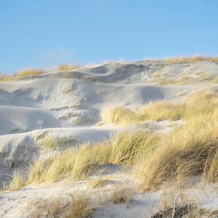 Alte Schule Porrendeich * Westerhever
