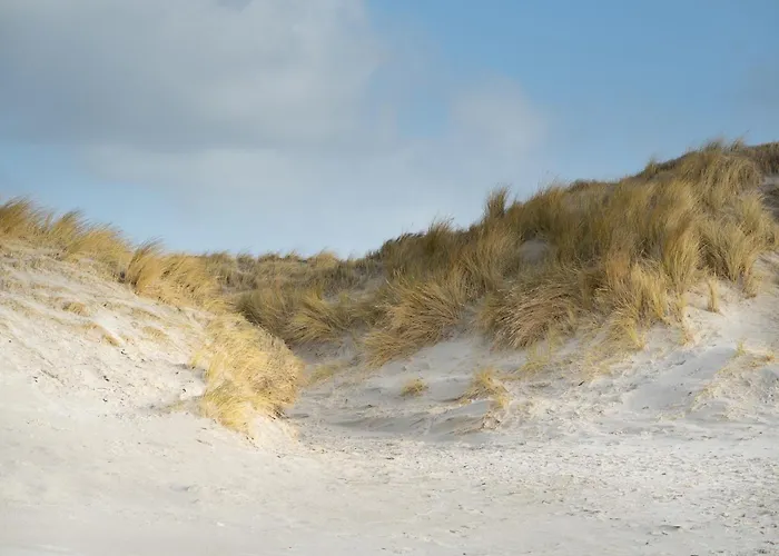 Alte Schule Porrendeich * Вестерхевер